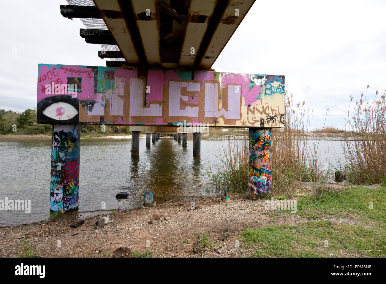 Graffiti su un treno di overhead via Foto Stock