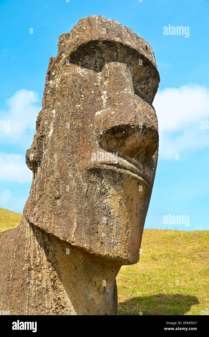 Cile, l'isola di pasqua, Moai testa in pietra in Rano Raraku cava, Parco Nazionale di Rapa Nui Foto Stock
