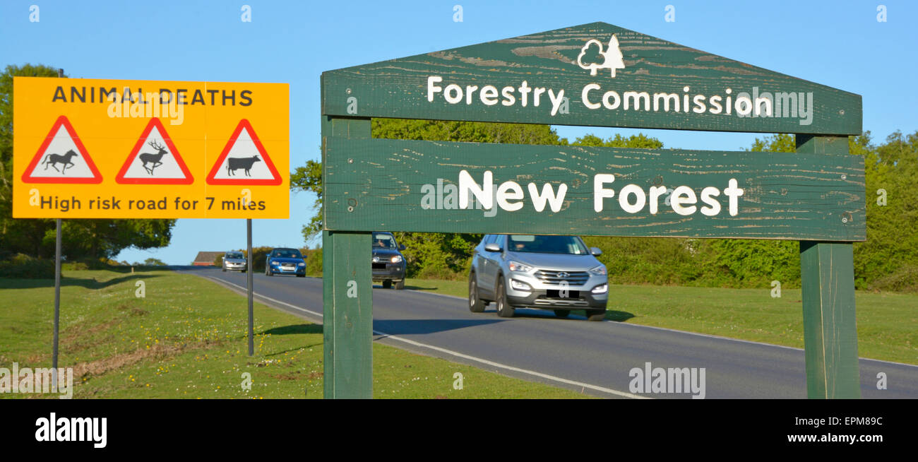 Nuova Foresta sign & traffico stradale segno attenzione agli automobilisti circa ad alto rischio di incidenti che coinvolgono free roaming pony & altri animali Inghilterra Hampshire REGNO UNITO Foto Stock