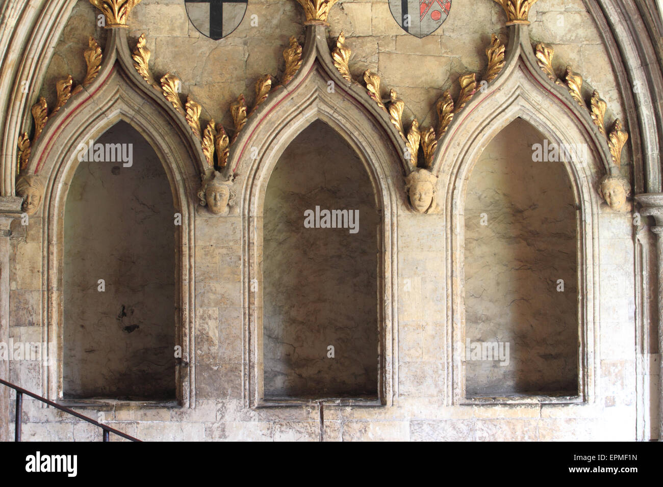 Foglie dorate decorative, Norwich Cathedral, Norfolk, Regno Unito Foto Stock