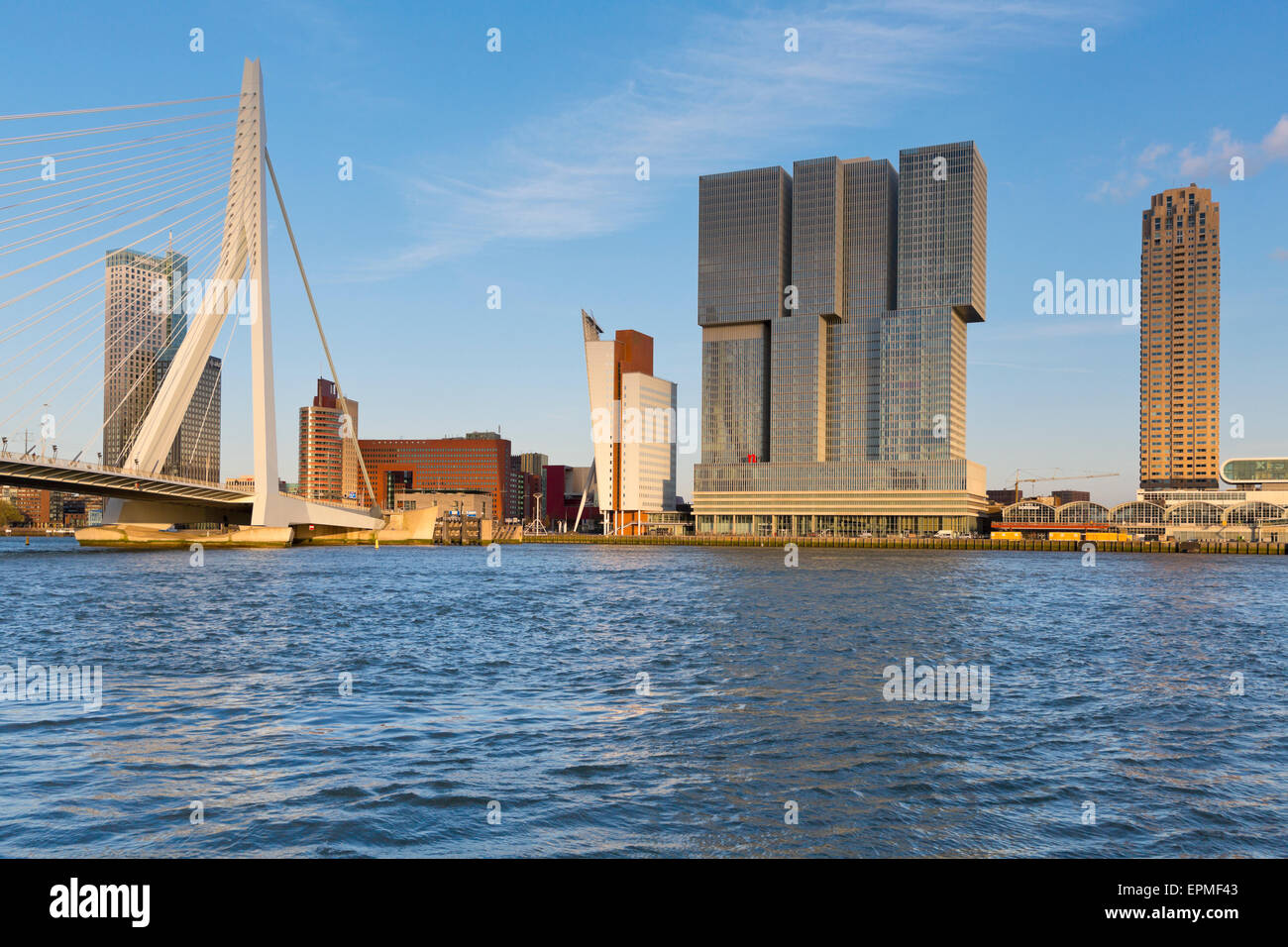 Paesi Bassi, Rotterdam, vista sullo skyline di Foto Stock