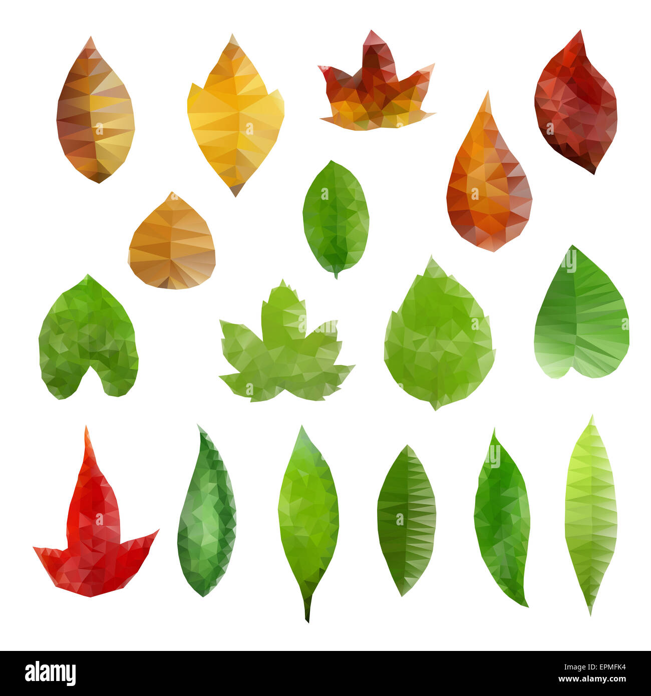 Illustrazione Vettoriale di basso-foglie poligonale elementi di design. Foto Stock