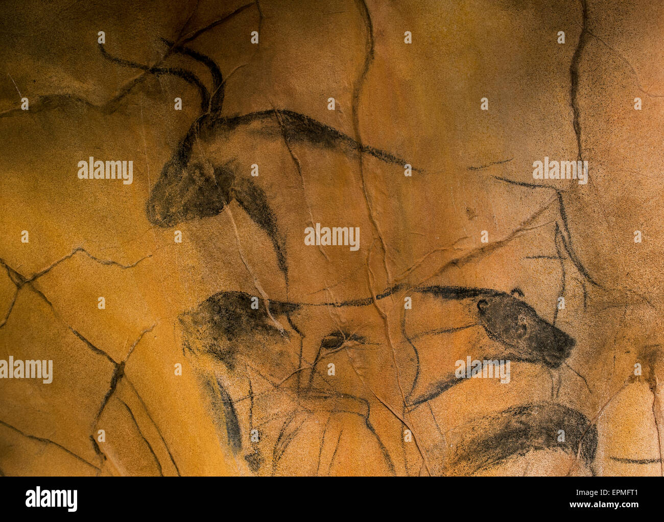 Replica di epoca preistorica pitture rupestri della grotta Chauvet, Ardèche, Francia, che mostra gli animali estinti grotta lion e uro bull Foto Stock