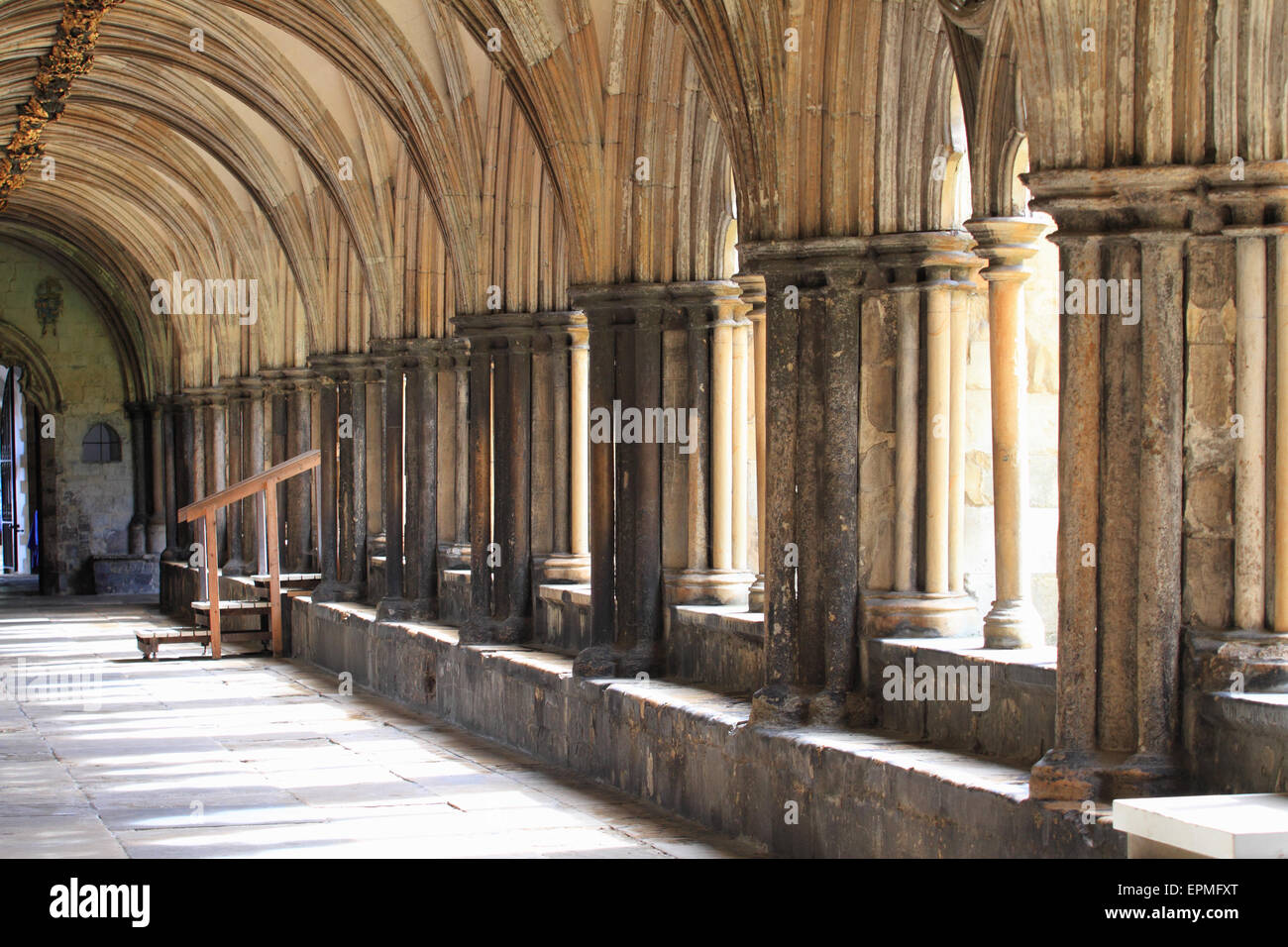 I chiostri della Cattedrale di Norwich, pietra di calce costruita, Norwich, Norfolk, Regno Unito Foto Stock