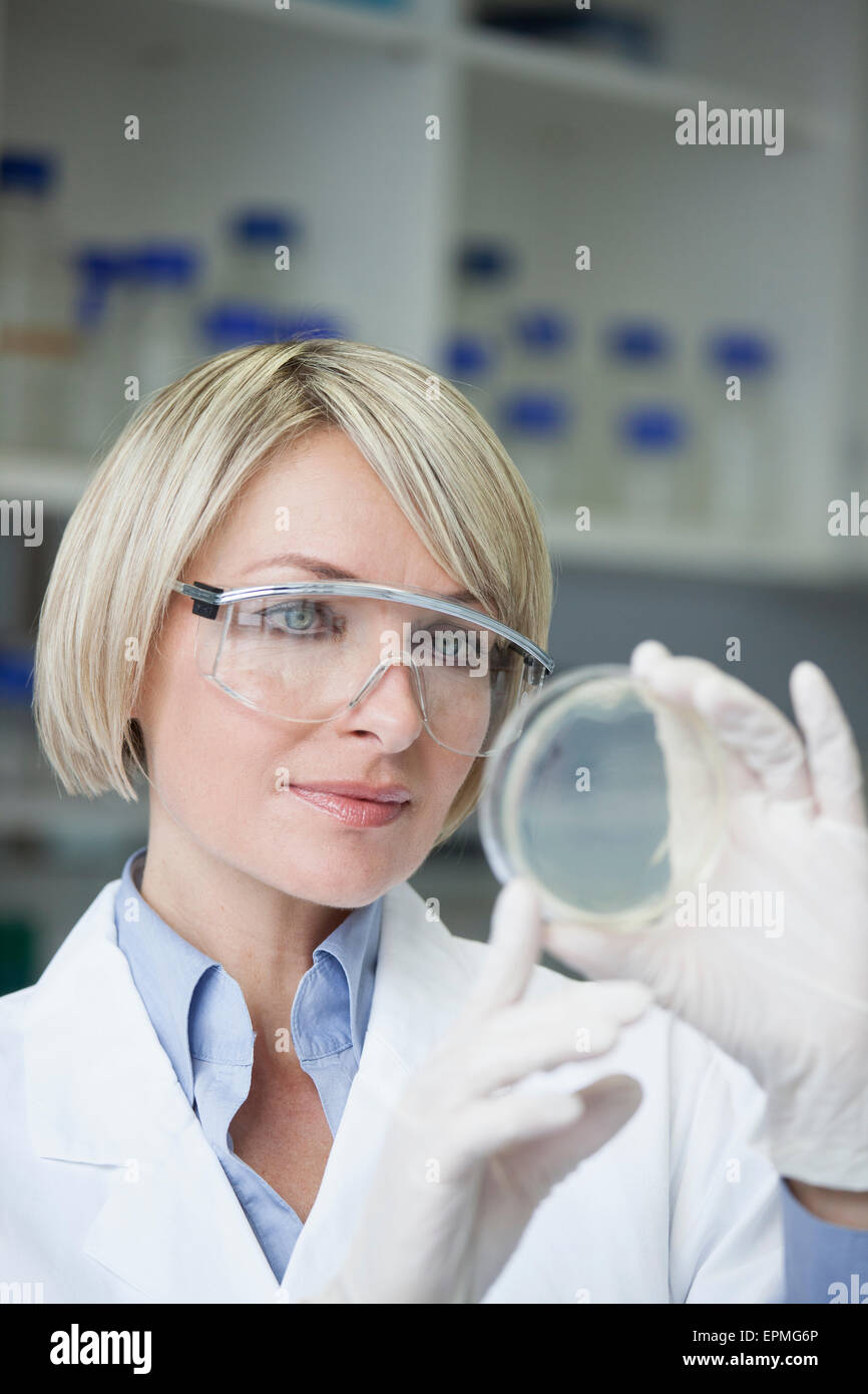 Scienziato con capsula di petri in laboratorio Foto Stock