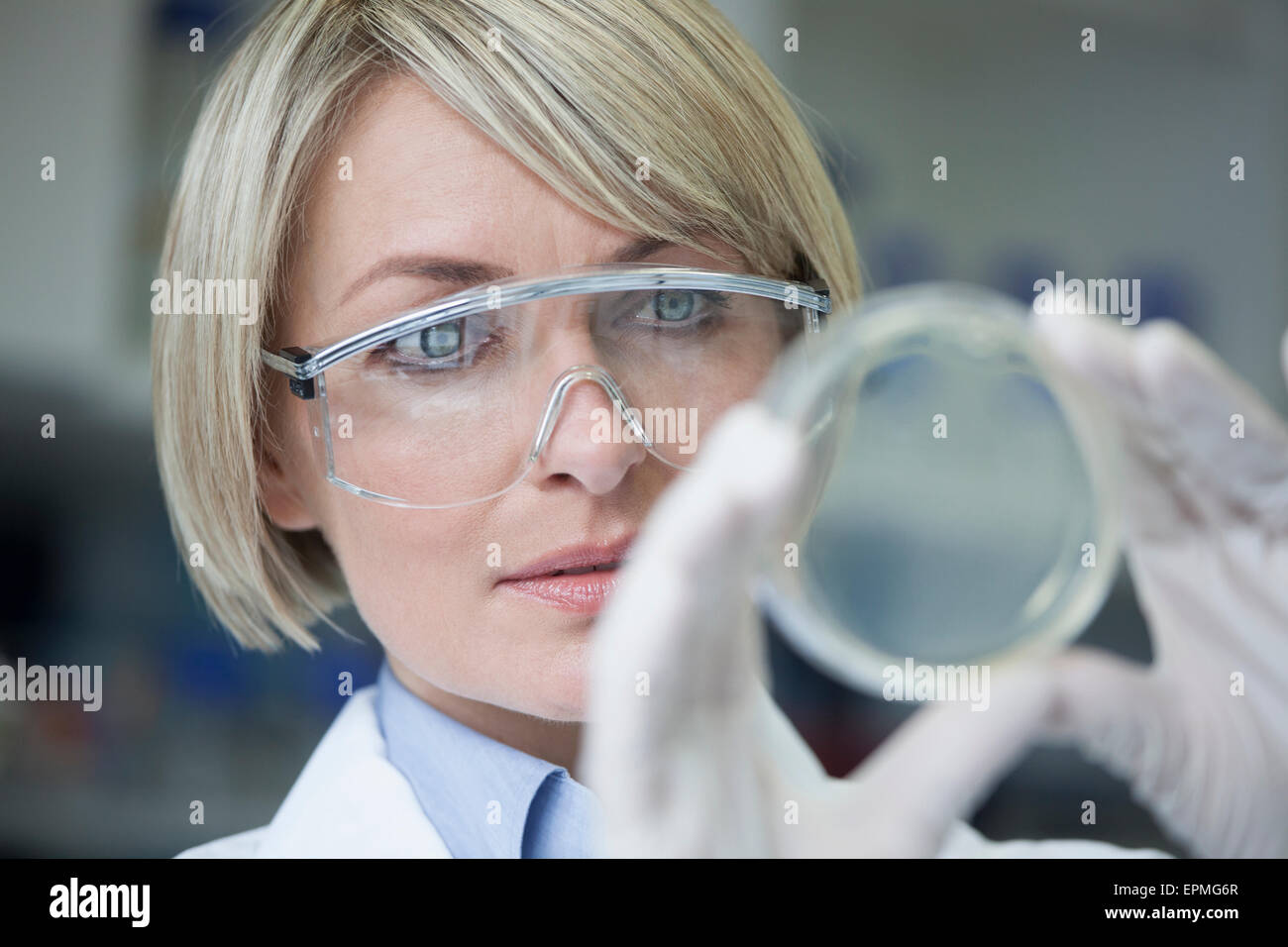 Scienziato con capsula di petri in laboratorio Foto Stock