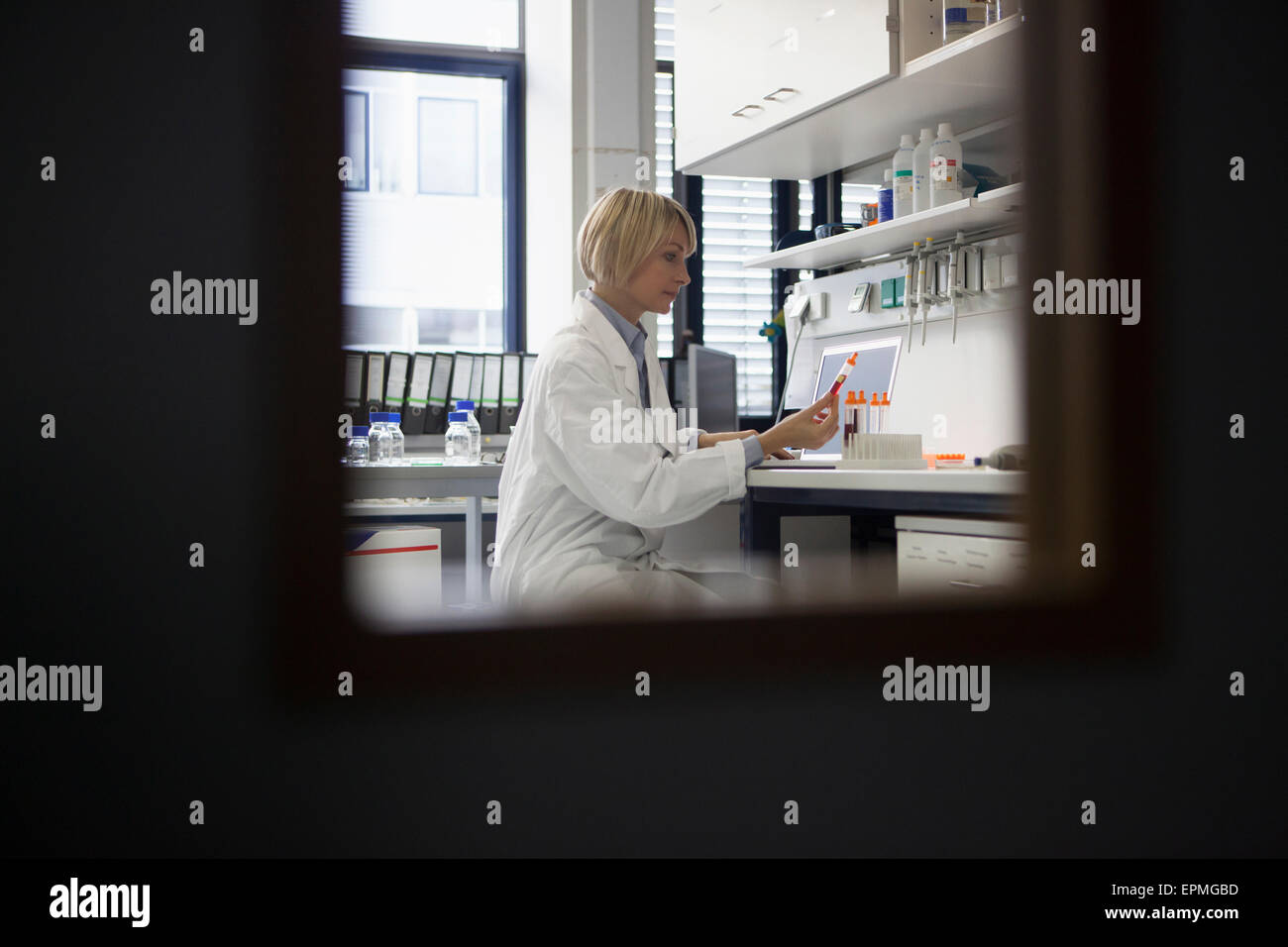 Scienziato che lavora in laboratorio Foto Stock