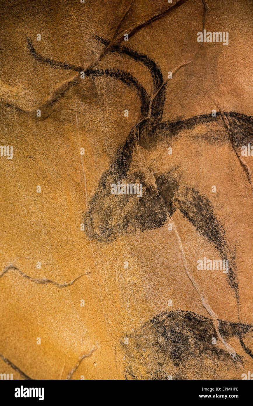 Replica di epoca preistorica pitture rupestri della grotta Chauvet, Chauvet-Pont-d'Arc, Ardèche, Francia, mostrando estinto uro bull Foto Stock