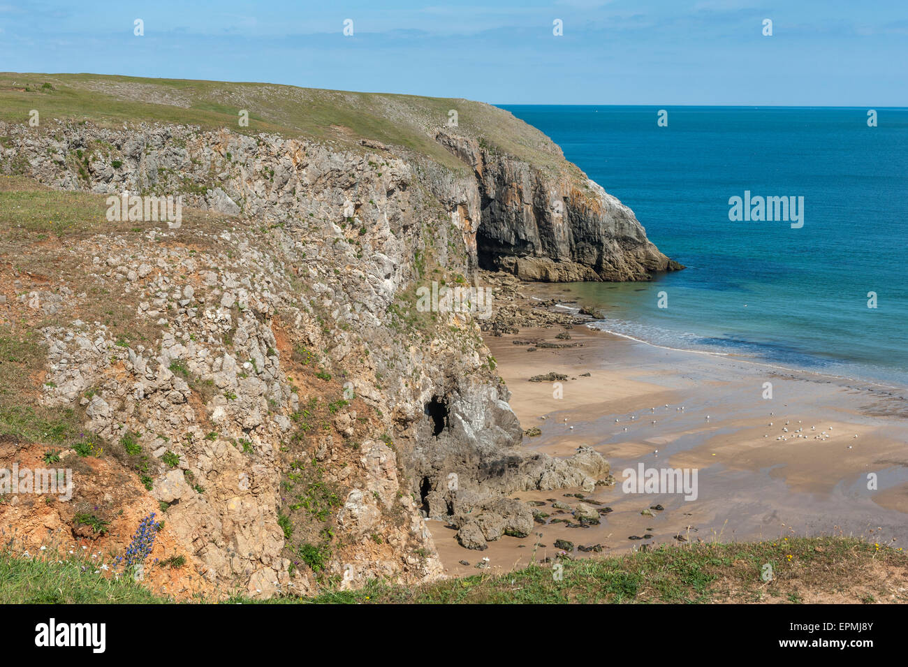 Pembrokeshire Coast National Park. Stackpole station wagon. Pembrokeshire. Galles Foto Stock