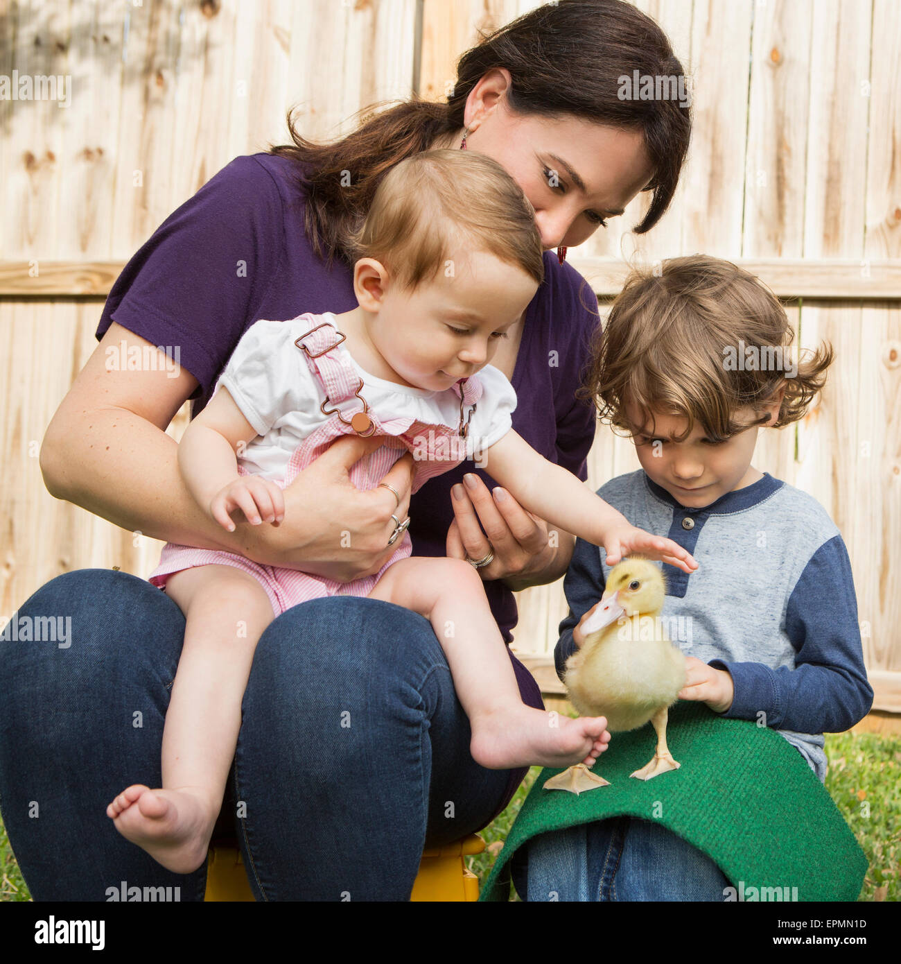 Una donna e due bambini, con un giovane anatroccolo. Foto Stock