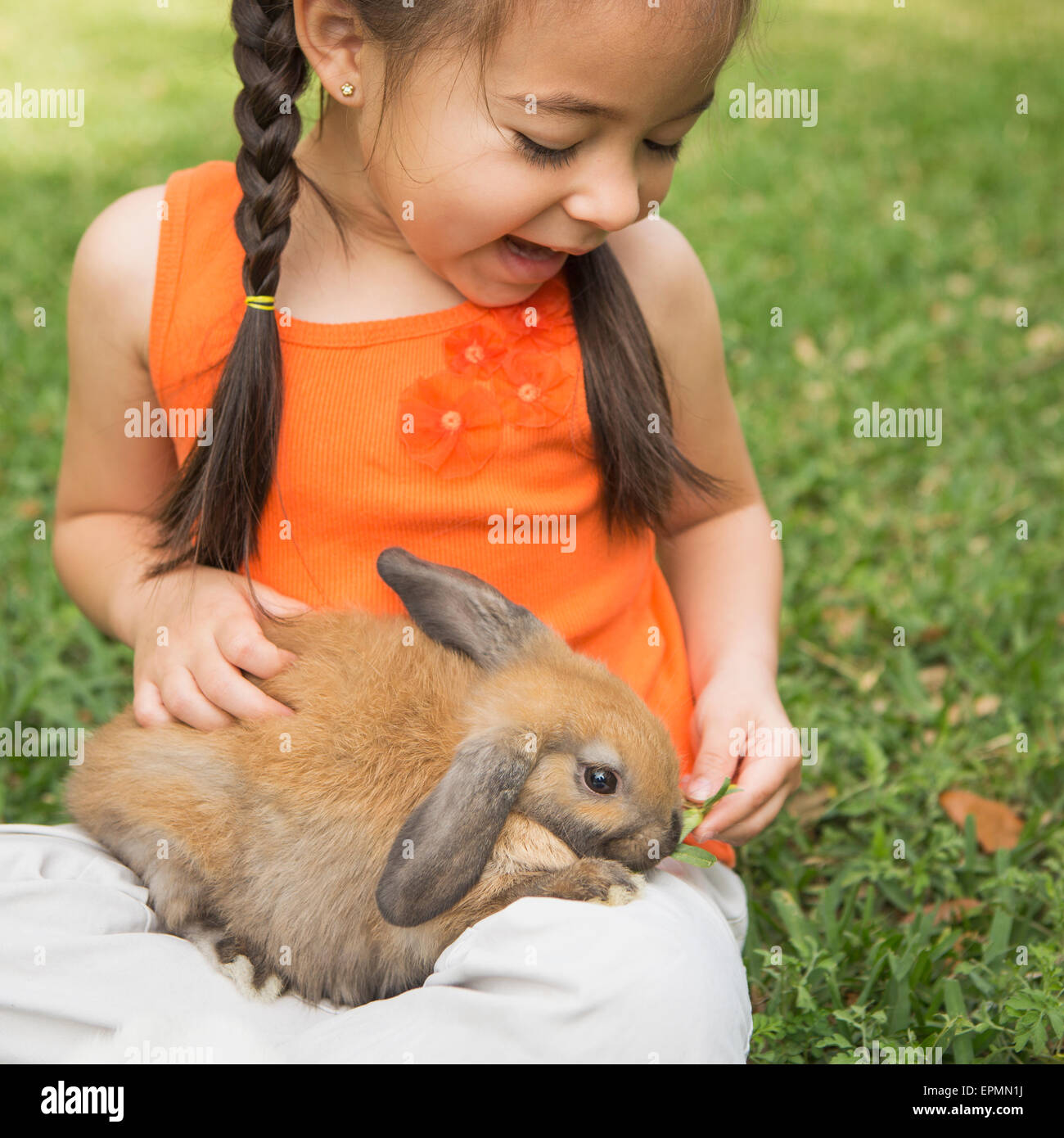 Un bambino con un coniglio marrone sul suo grembo. Foto Stock