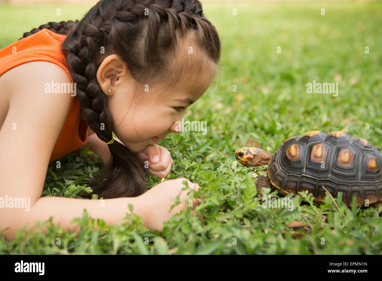 Una ragazza distesa sul prato guardando una tartaruga. Foto Stock
