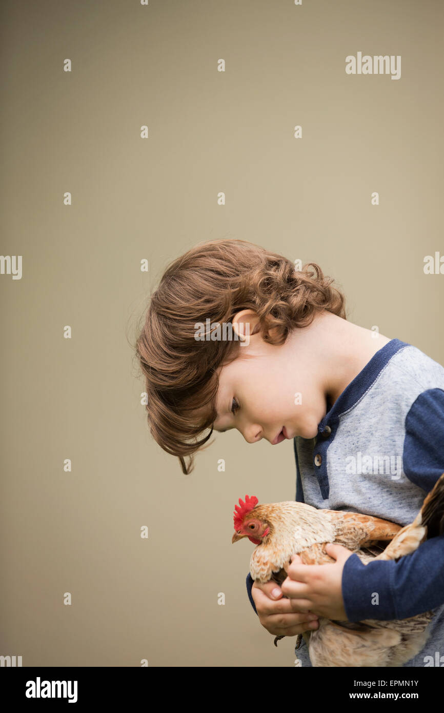 Un piccolo ragazzo tenendo un pollo nelle sue braccia. Foto Stock