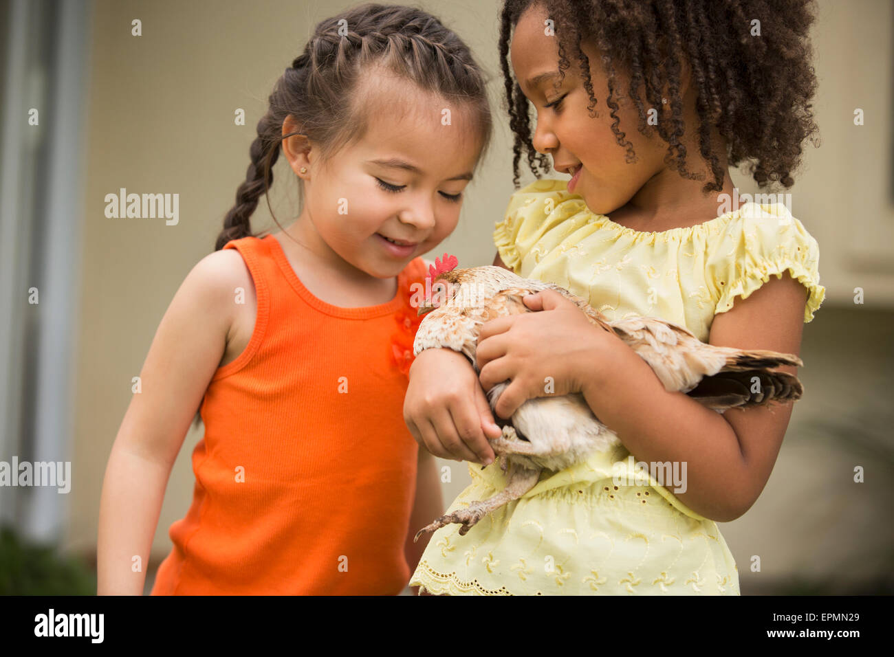 Due giovani ragazze, una holding un pollo nelle sue braccia. Foto Stock