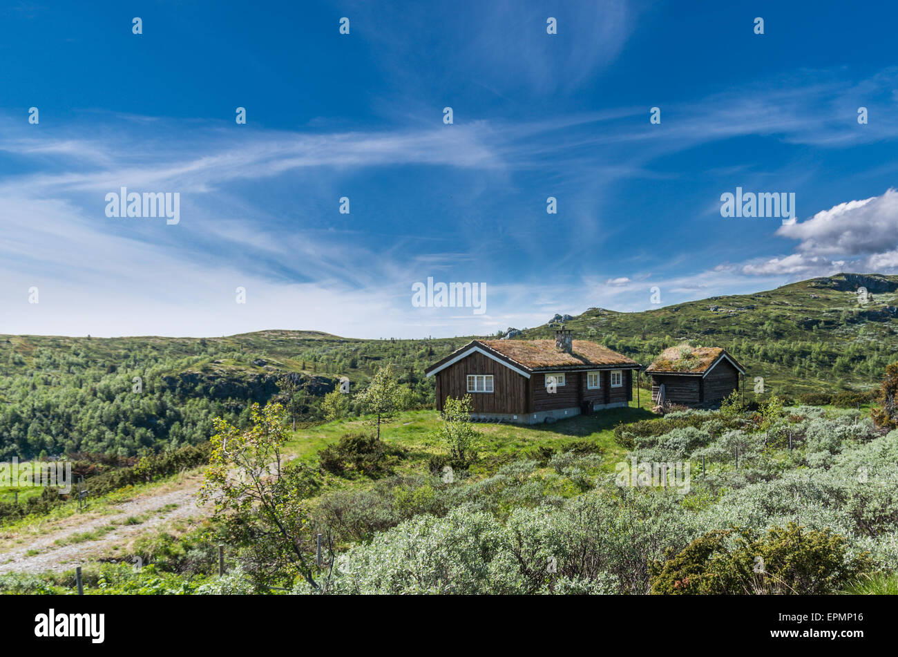 Remote tetto di erba cottage in Norvegia sotto un cielo blu chiaro Foto Stock