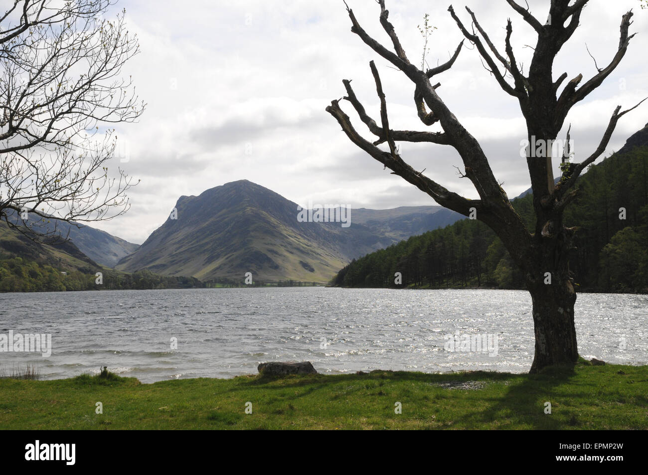 Buttermere Lake guardando a sud est dal vicino al villaggio e Sourmilk Gill. Foto Stock