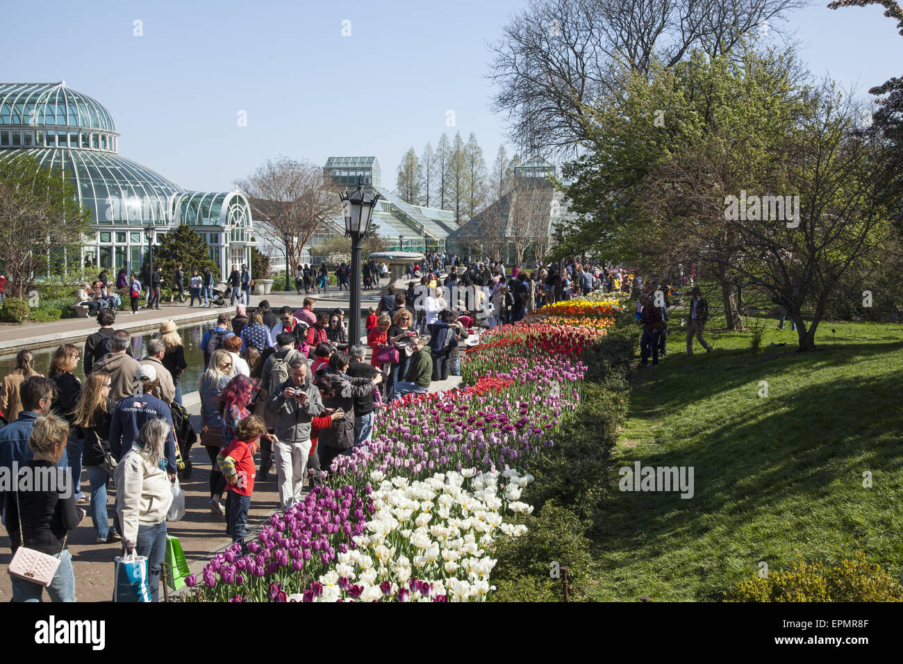 Ci sono sempre folle a Brooklyn Botanic Garden in primavera abbagliato dalla esplosione di colore. Tulip giardino lungo il plaza Foto Stock