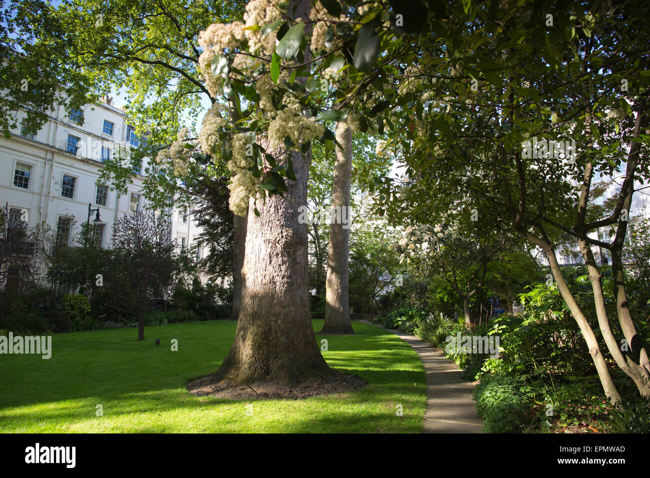 Wilton Crescent giardino, il Grosvenor station wagon, Belgravia, London, England, Regno Unito Foto Stock