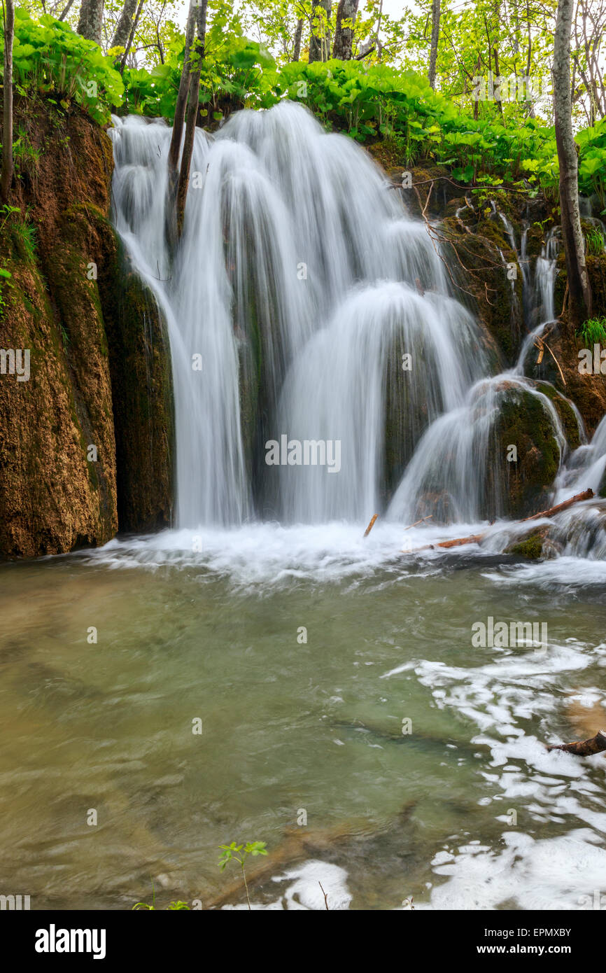 La cascata nel profondo della foresta nel parco nazionale di Plitvice-Croazia Foto Stock