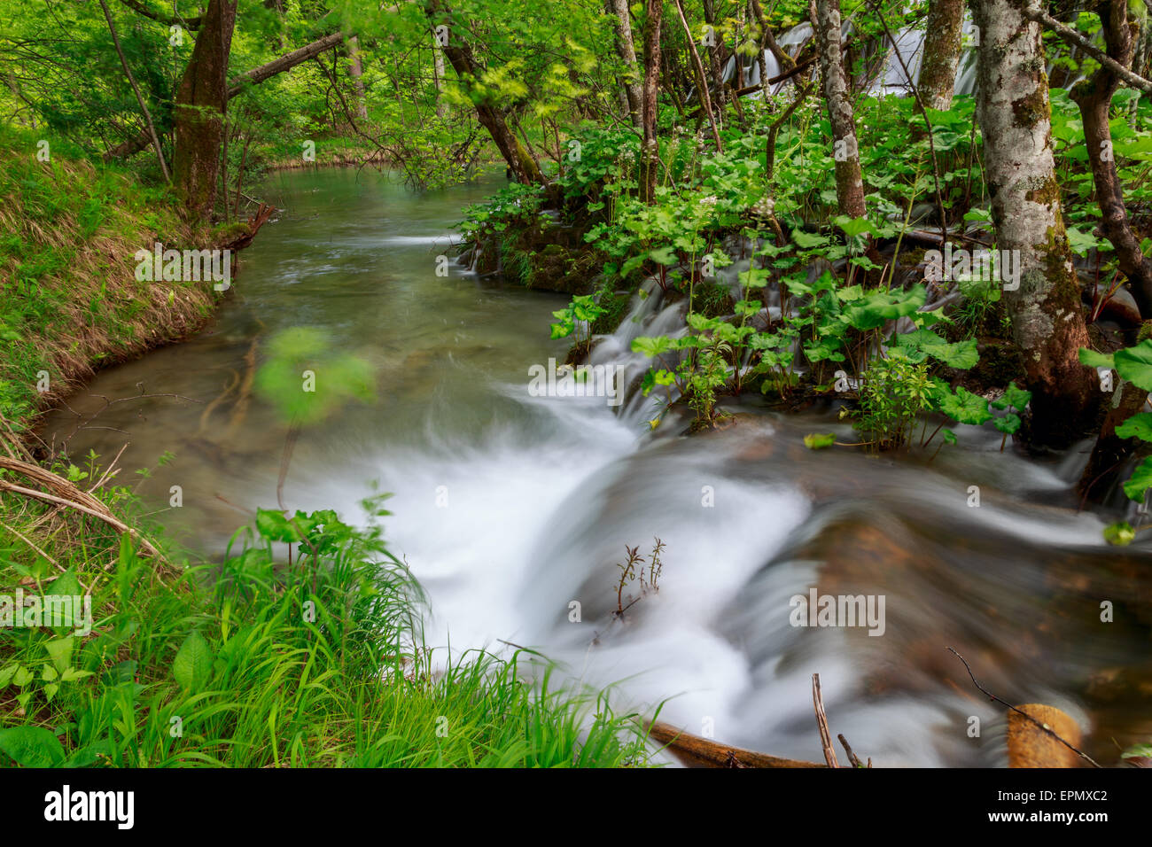 La cascata nel profondo della foresta nel parco nazionale di Plitvice-Croazia Foto Stock