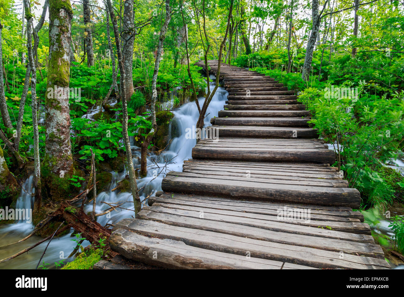 Estate percorso di foresta nel parco nazionale di Plitvice-Croazia Foto Stock