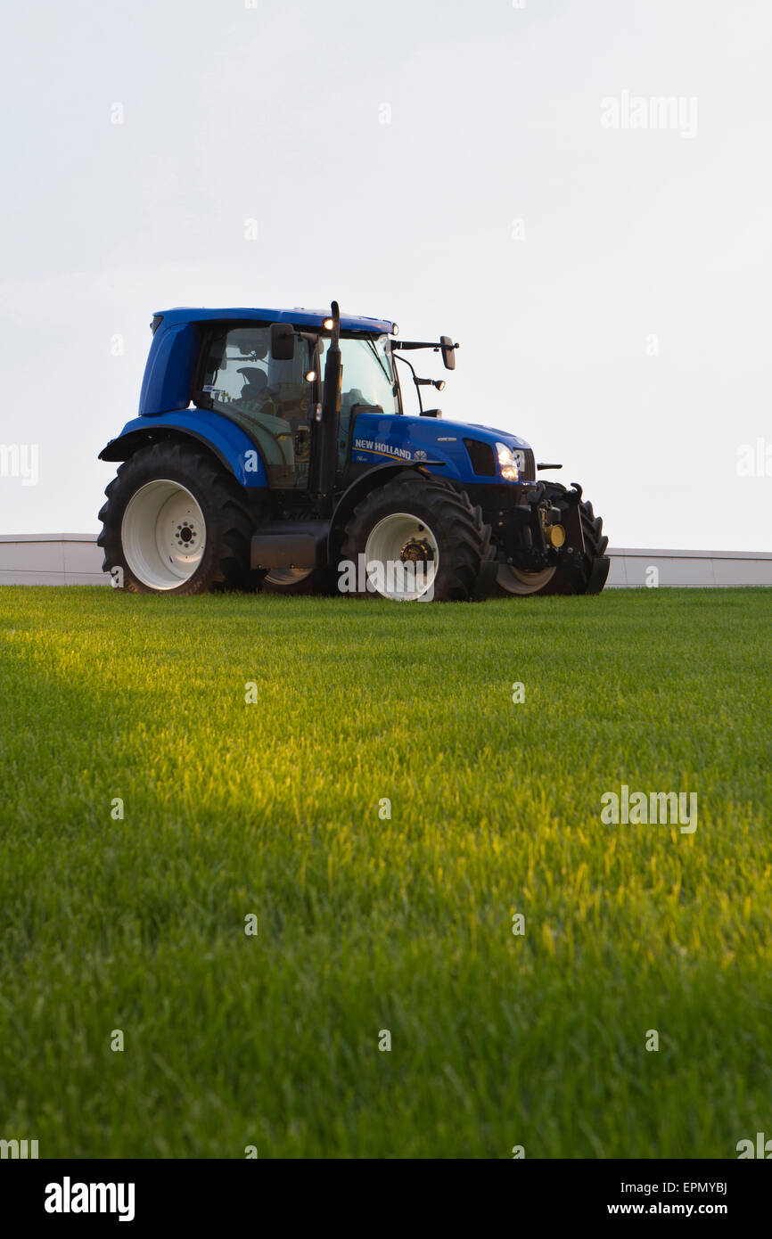 New Holland T6 del trattore su un campo verde Foto Stock