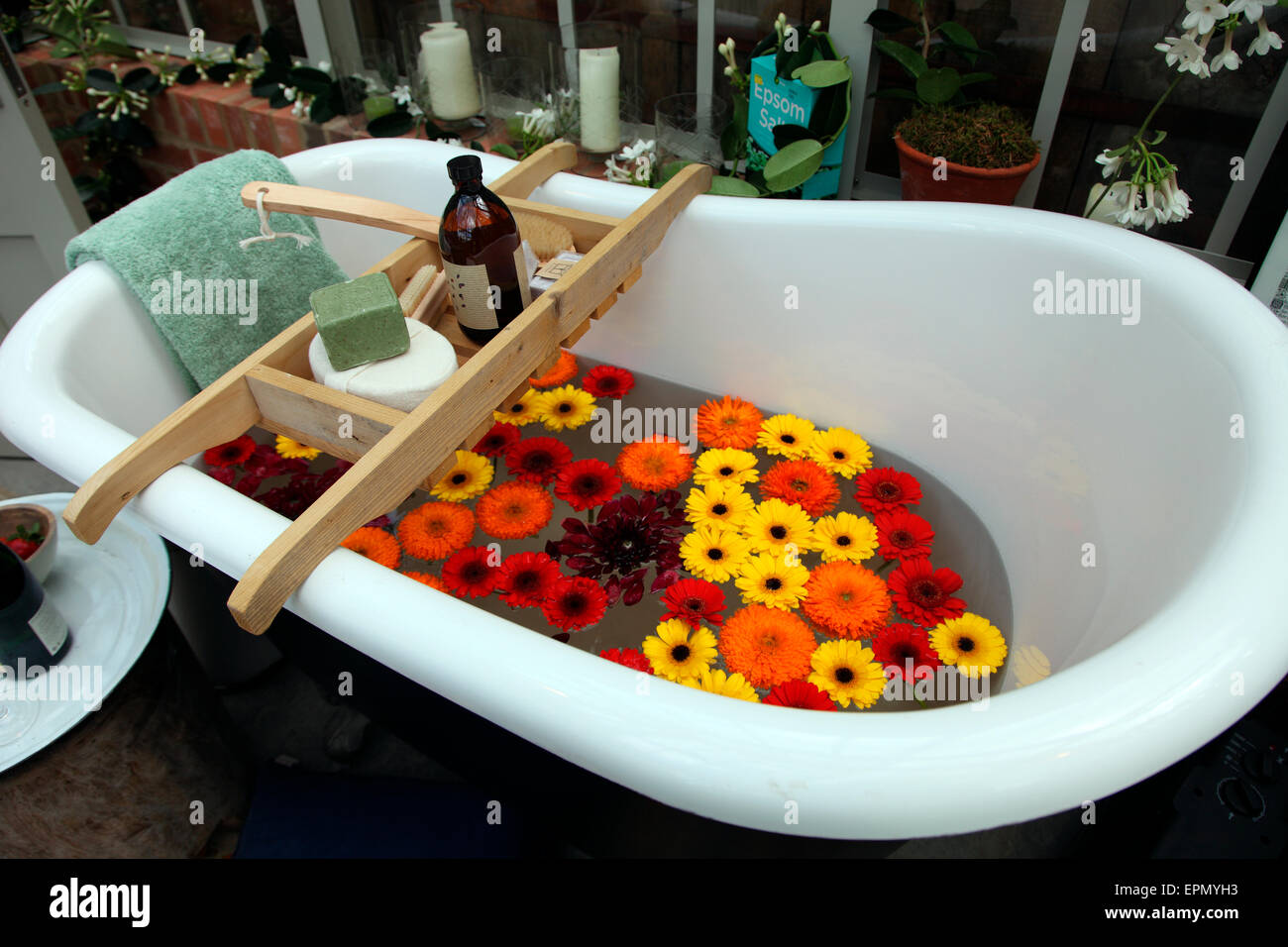 Bagno nel Conservatorio Alitex stand, RHS Chelsea Flower Show 2015 Foto Stock
