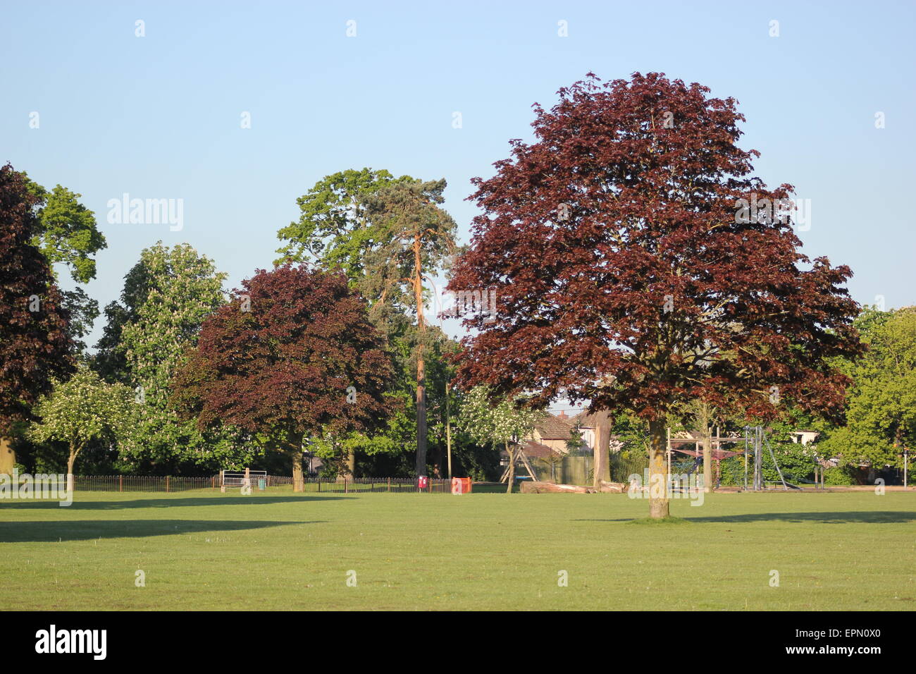 Soleggiato parco nel mezzo di un campo. Foto Stock