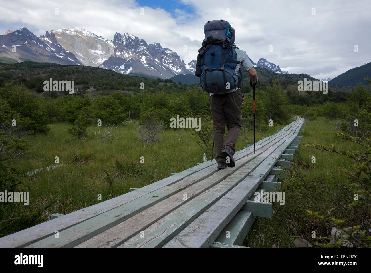 Trekker camminare su una passerella utilizzata per proteggere la vegetazione di erosione. Parco Nazionale di Torres del Paine. La Patagonia. Cile Foto Stock