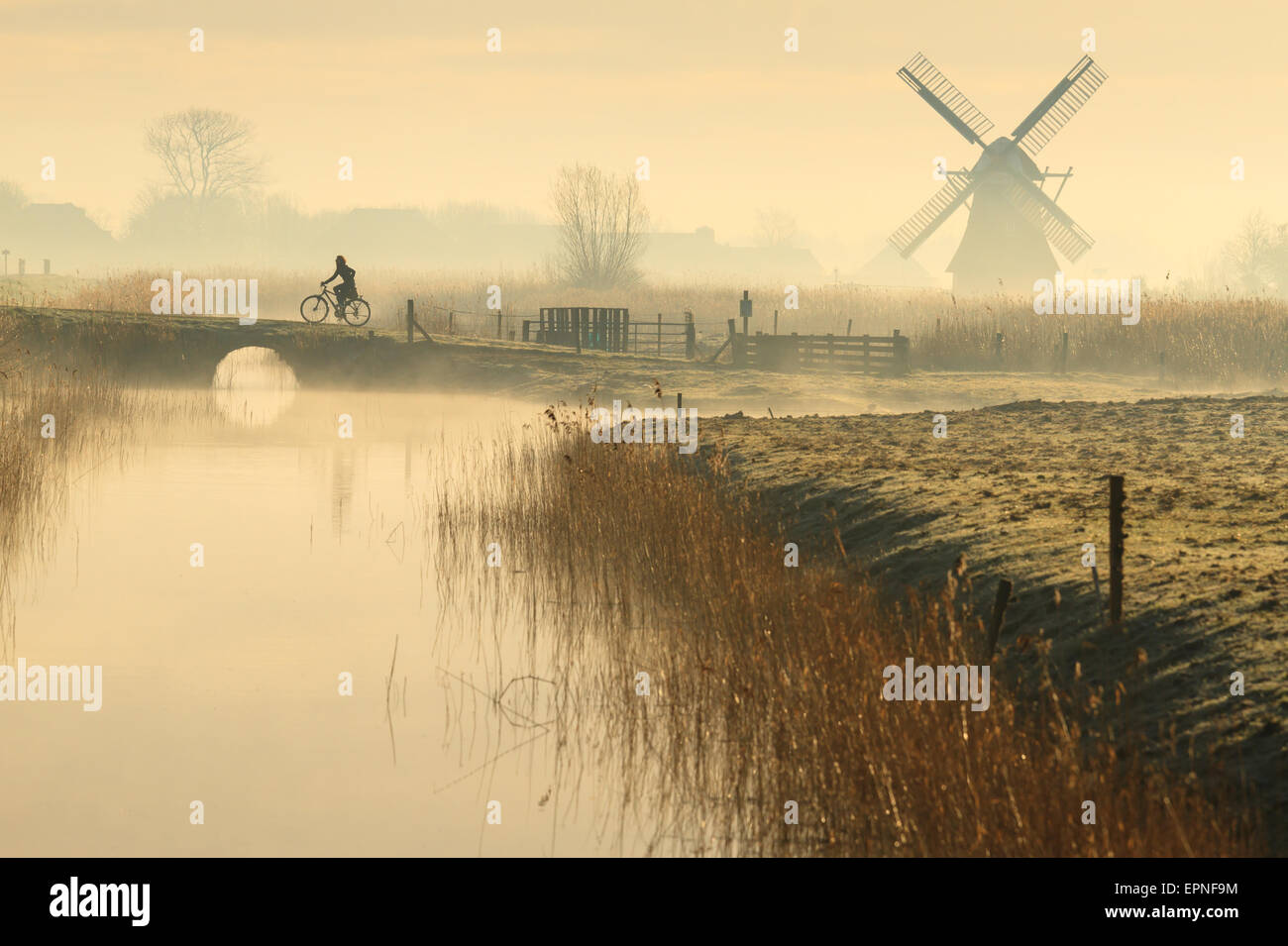 Molla di Foggy sunrise nella campagna Olandese, con un ciclista in prossimità di un mulino a vento. Foto Stock