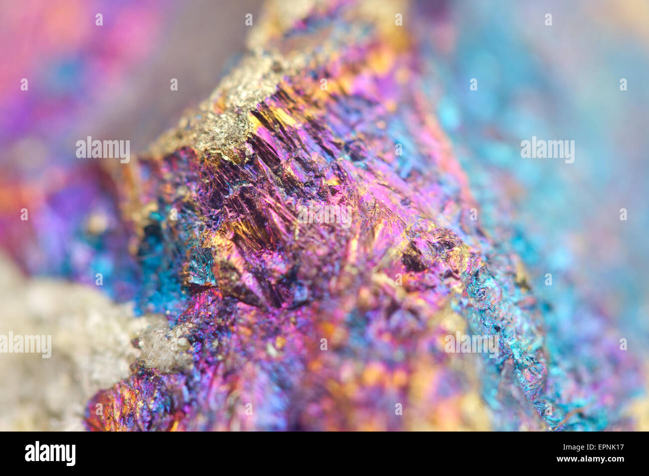 Bornite, noto anche come minerale di pavone, è un minerale di solfuro con composizione chimica Cu5FESO4 che cristallizza nella ortorombica Foto Stock