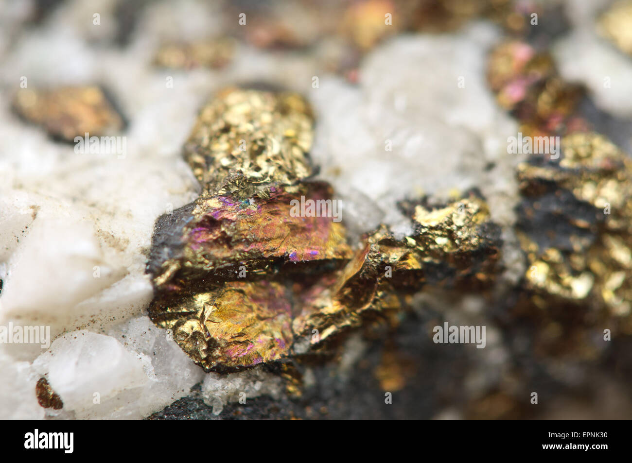 Calcopirite, si ha la formula chimica (CuFeS2). Rame Ferro minerali di solfuro. Macro. Bellissimo sfondo fantastico per succe Foto Stock