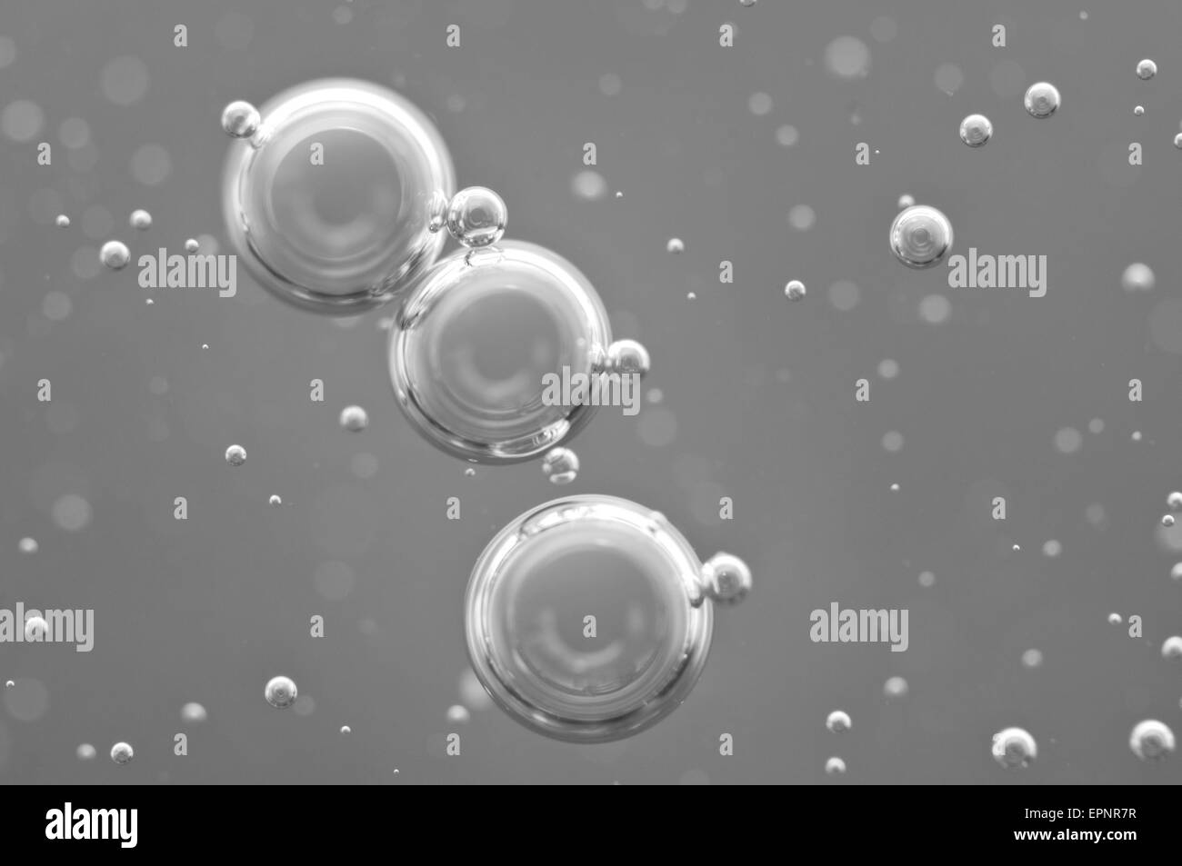 Macro delle bolle di ossigeno in acqua nero su sfondo bianco, concetti come ecologia e altri i vostri progetti di successo Foto Stock