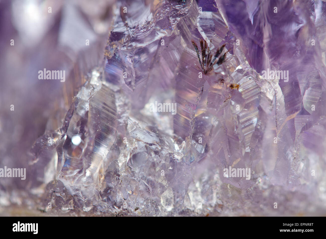 L'ametista è violetto varietà di quarzo spesso usato in gioielleria ha la formula chimica, biossido di silicio, SiO2. Macro. Bella Foto Stock