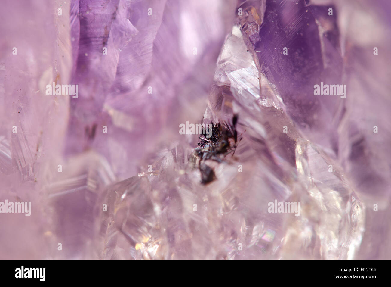 L'ametista è violetto varietà di quarzo spesso usato in gioielleria ha la formula chimica, biossido di silicio, SiO2. Macro. Bella Foto Stock