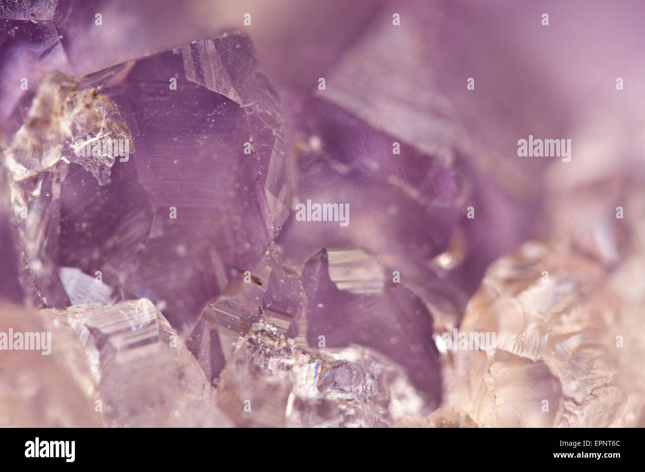 L'ametista è violetto varietà di quarzo spesso usato in gioielleria ha la formula chimica, biossido di silicio, SiO2. Macro. Bella Foto Stock