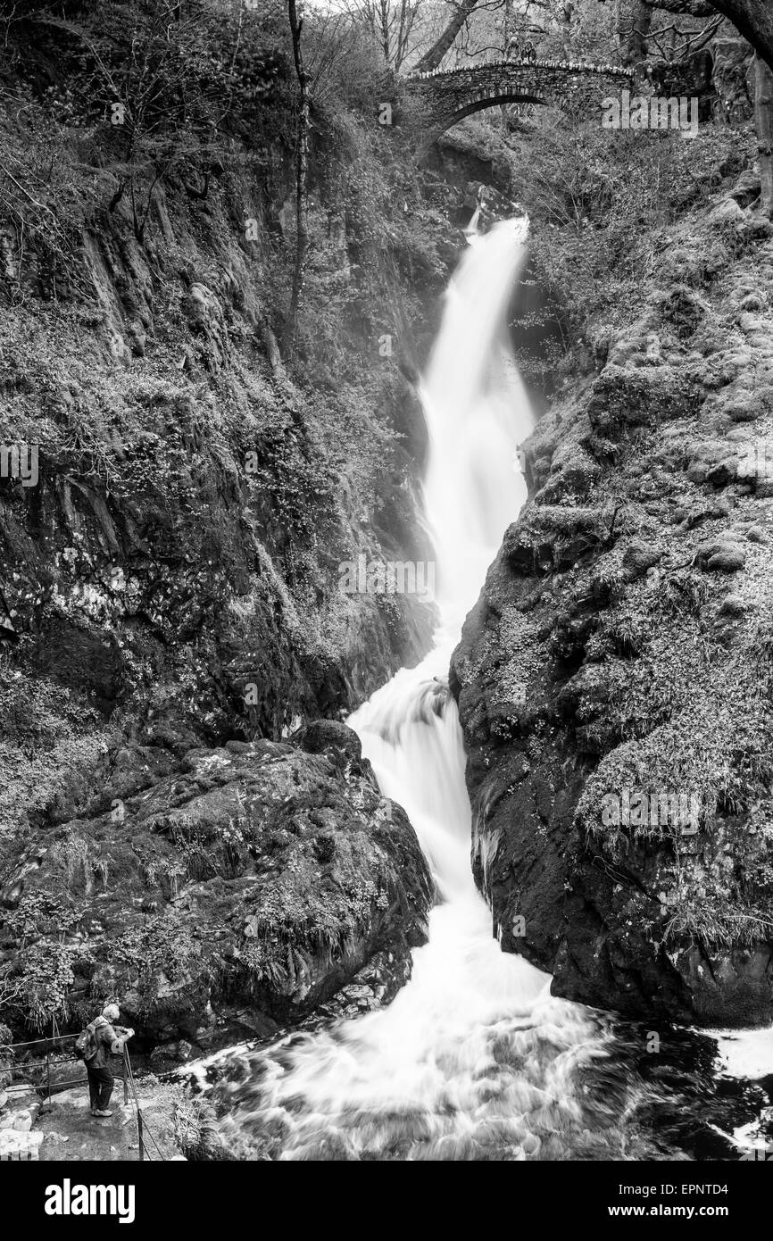 Aira Beck crolla su Aira Force, vicino a Ullswater, Lake District, Cumbria Foto Stock