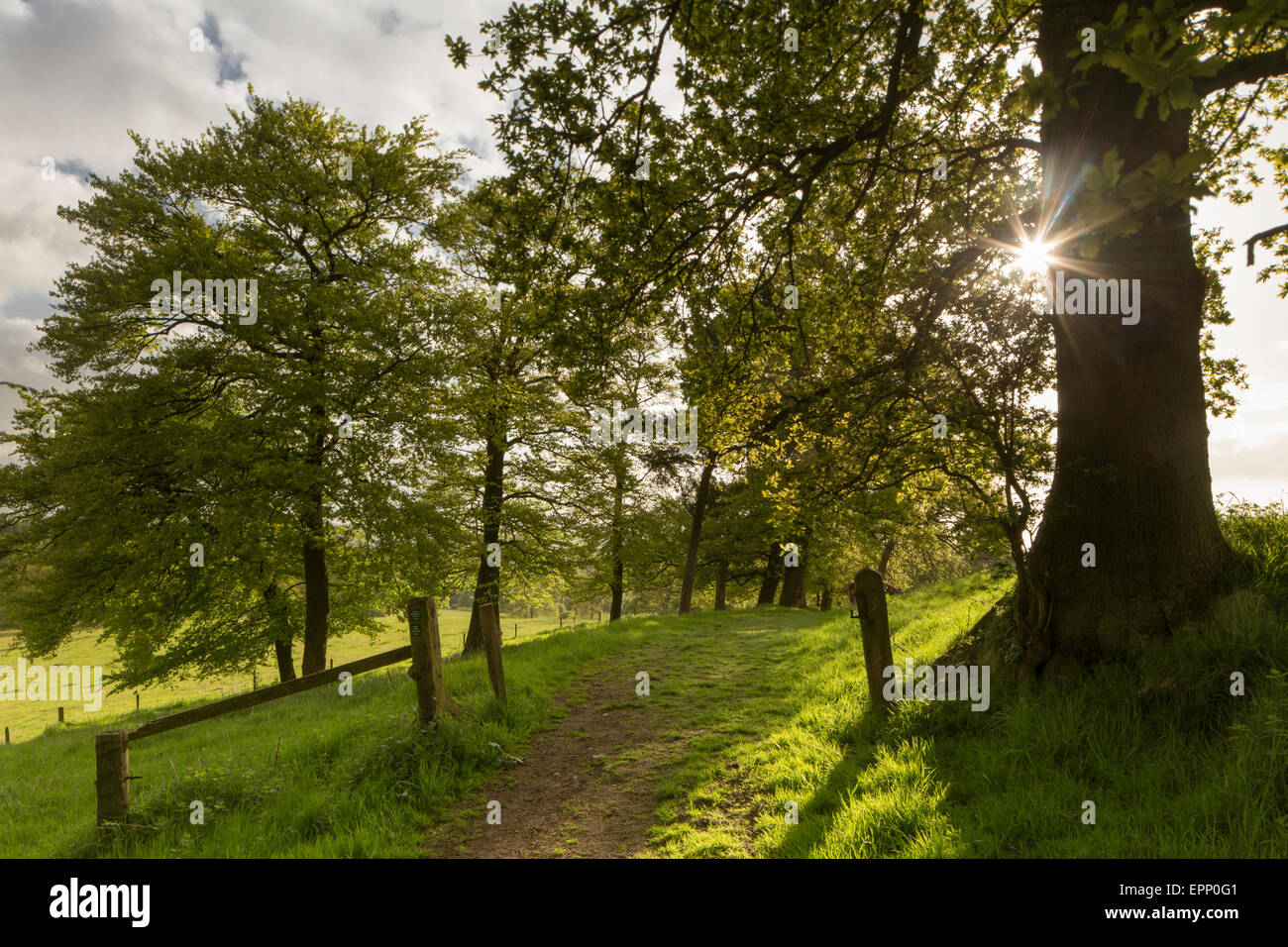 Una mattina di primavera in Worcestershire campagna vicino Alvechurch, England, Regno Unito Foto Stock