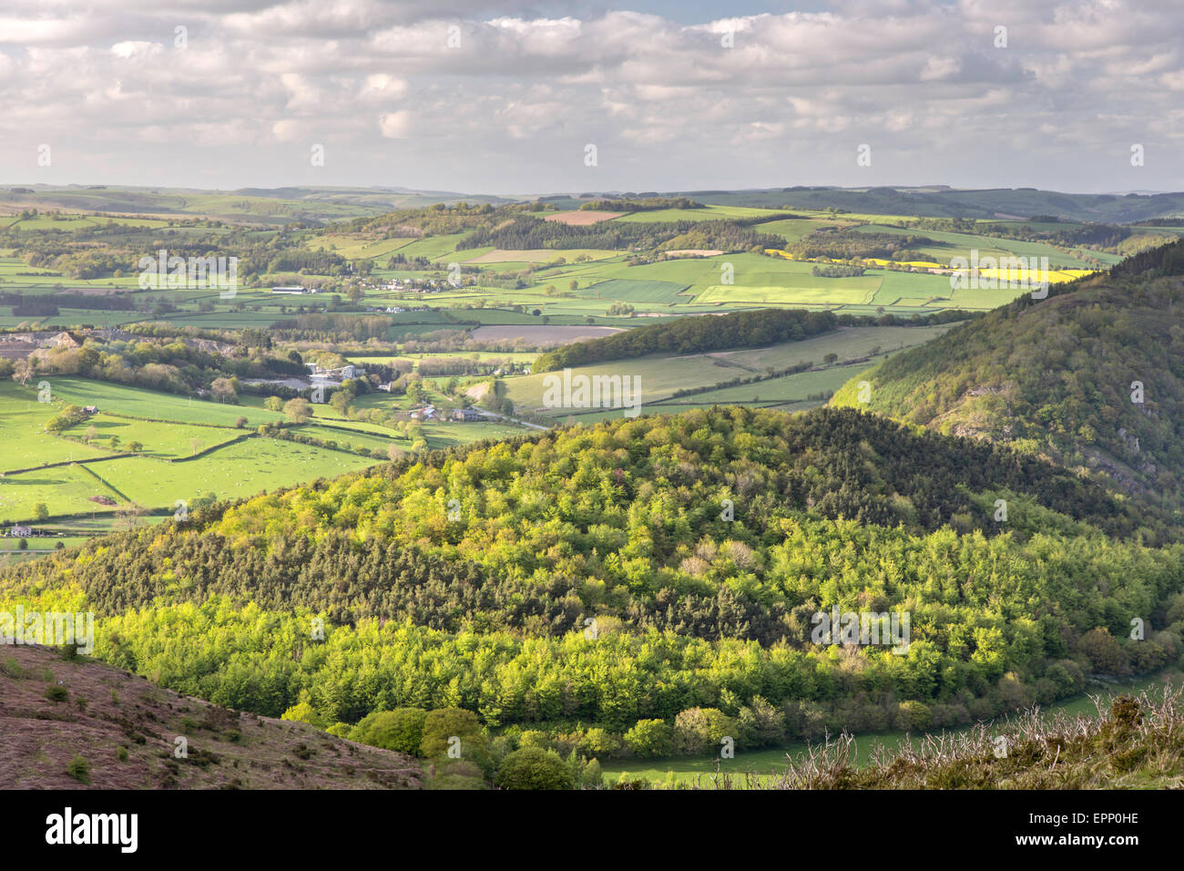 Nel tardo pomeriggio la luce dal Hergest Ridge su Hereford lato del confine tra Inghilterra e Galles, Inghilterra, Regno Unito Foto Stock