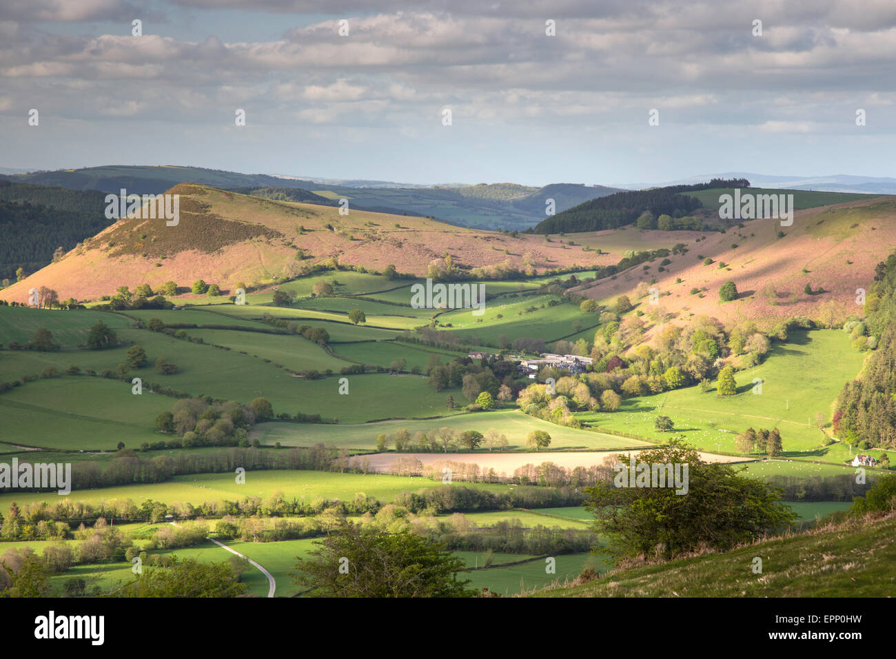 Nel tardo pomeriggio la luce dal Hergest Ridge su Hereford lato del confine tra Inghilterra e Galles, Inghilterra, Regno Unito Foto Stock