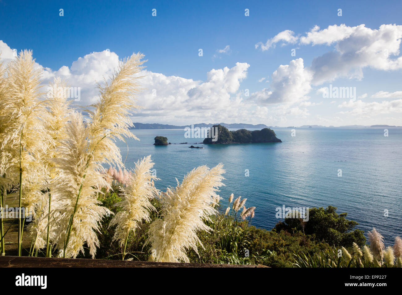 Coste e Isole sparse del Cove della cattedrale a piedi sulla Penisola di Coromandel nell Isola del nord della Nuova Zelanda Foto Stock