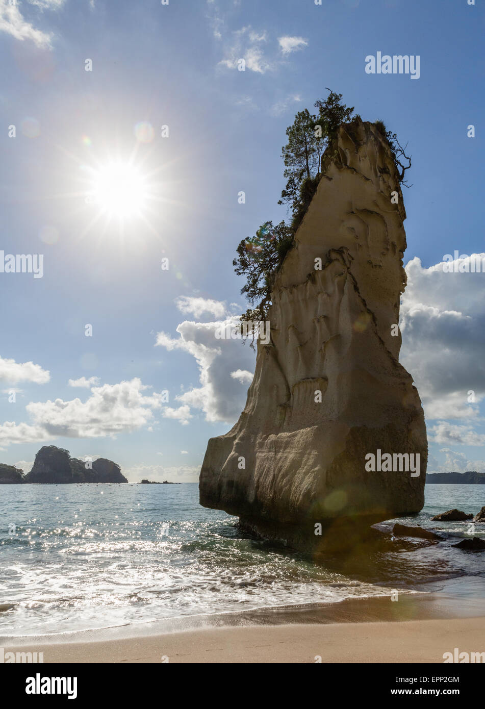 Bianco calcare formazioni rocciose e la spiaggia di sabbia fine a Cove della cattedrale sulla Penisola di Coromandel in Nuova Zelanda Isola del nord Foto Stock