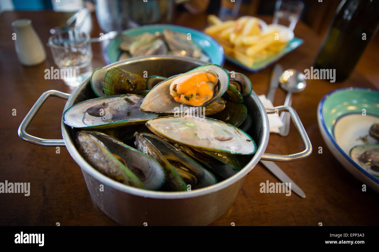 Una pentola di verde le cozze a labbro in una Nuova Zelanda ristorante Foto Stock