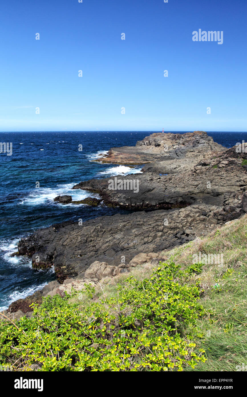 Il paesaggio costiero vicino Kiama, Nuovo Galles del Sud, Australia. Foto Stock