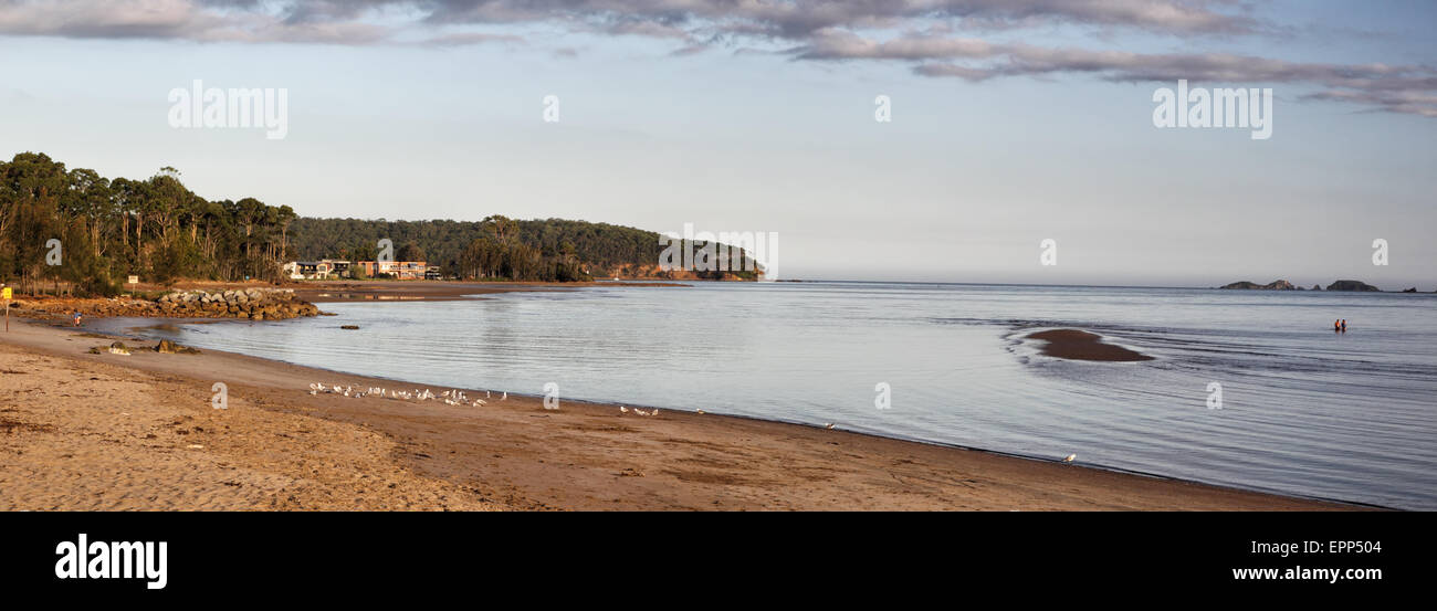 Spiaggia sul fiume tumulo del fiume Clyde in Batemans Bay, Nuovo Galles del Sud, Australia. Foto Stock