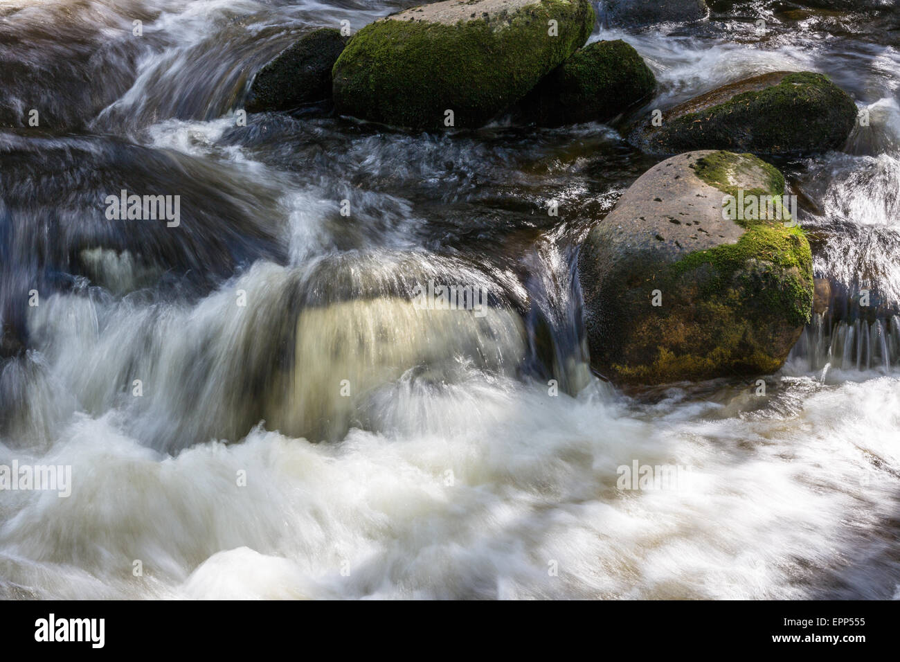 Torrente di montagna Foto Stock