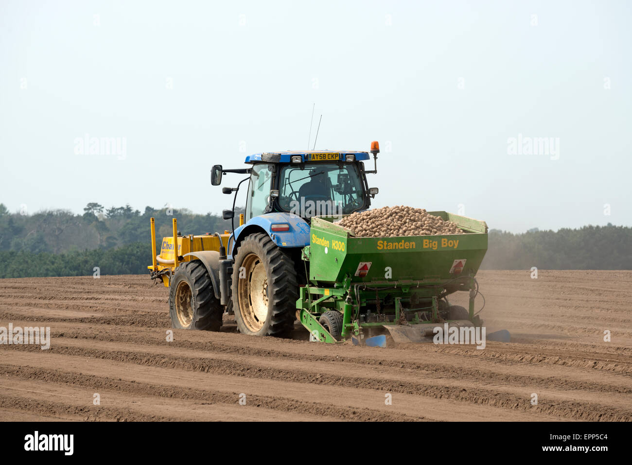 Standen grande grande piantatrice di patate con Chafer Irroratrice raccolto collegato alla parte anteriore del trattore New Holland, Sutton Heath, Suffolk, Regno Unito. Foto Stock