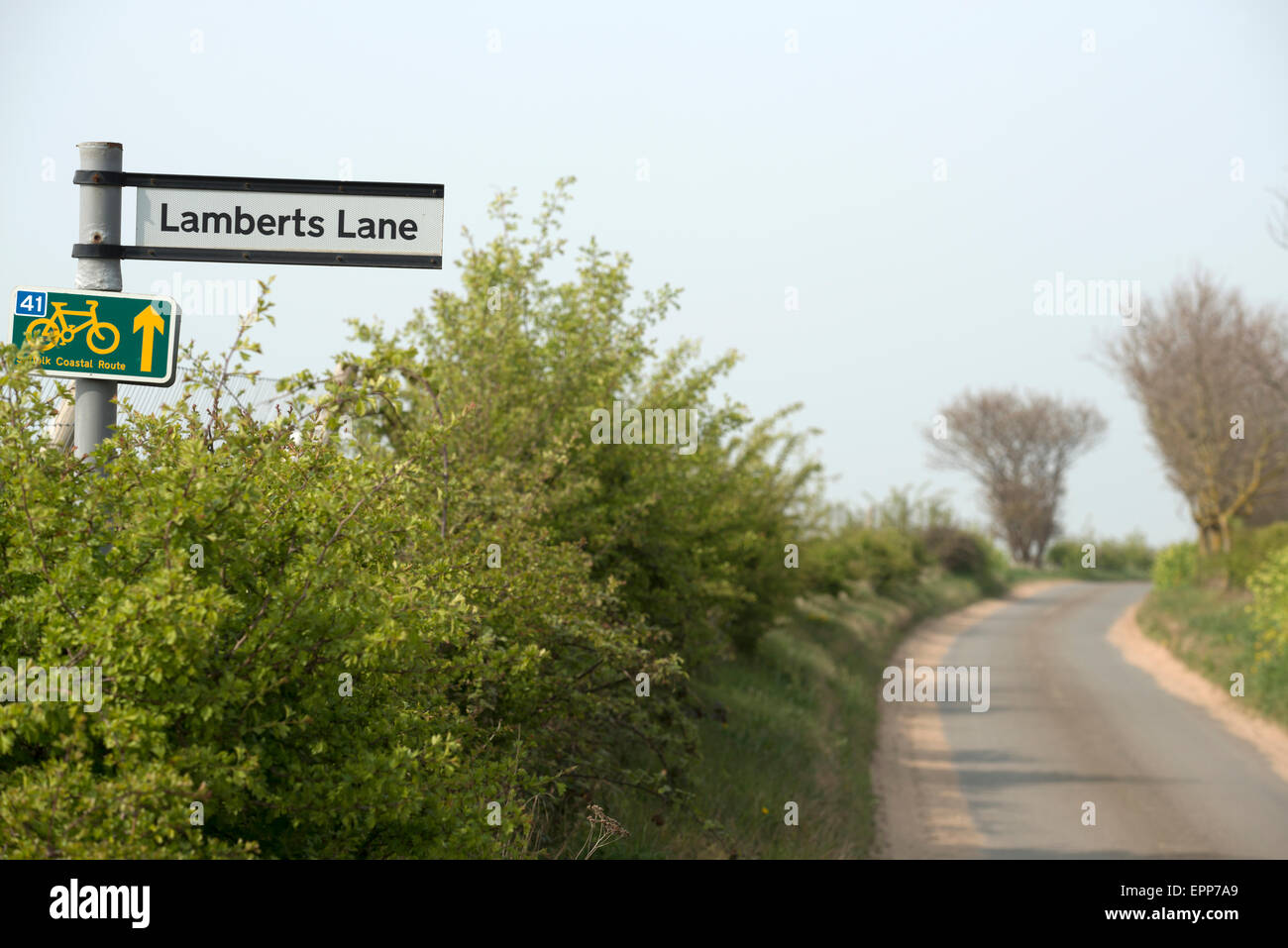 Lamberts Lane, Iken, Suffolk, Regno Unito. Foto Stock