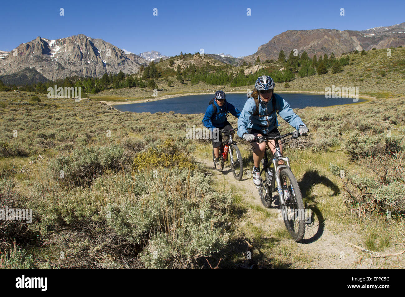 L uomo e la donna in mountain bike sul picco di retromarcia, Giugno Lago, California. Foto Stock