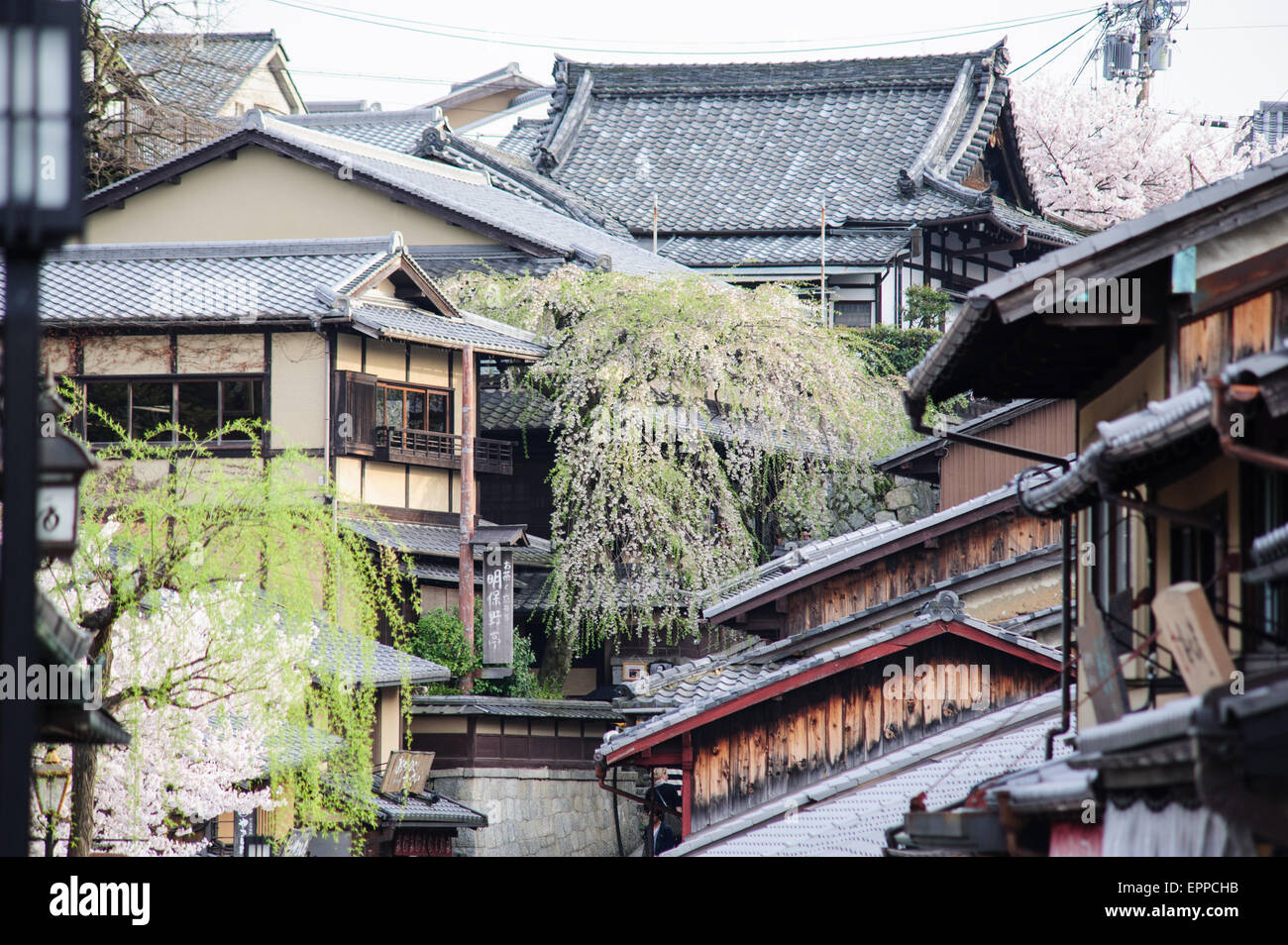 La città vecchia di Kyoto in Giappone con le tradizionali case in legno e tipici tetti in giapponese con fiori di ciliegio Foto Stock